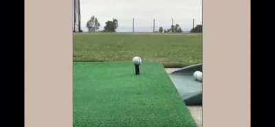 2020 vs my mental stability