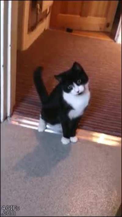 It’s The Claw!!!!! AAAAHHHHHHHH!!!!!