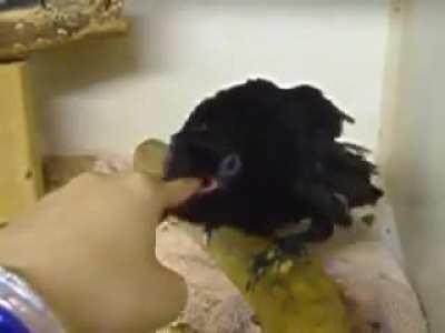 Just dug up a vid of Zach as a baby. So cute!