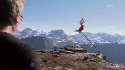 Another on bites the dust