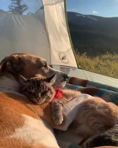 There is only one word to describe this feeling: perfection