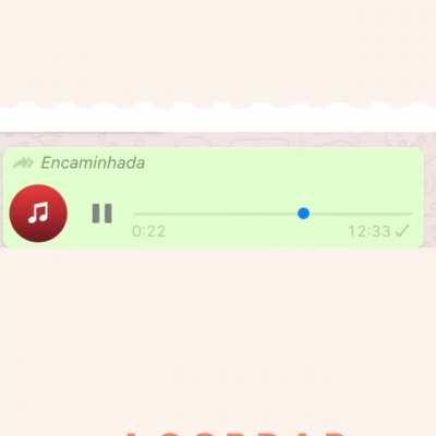 bah armandinho é o terror né meu