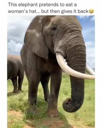 Proof of a sense of humour