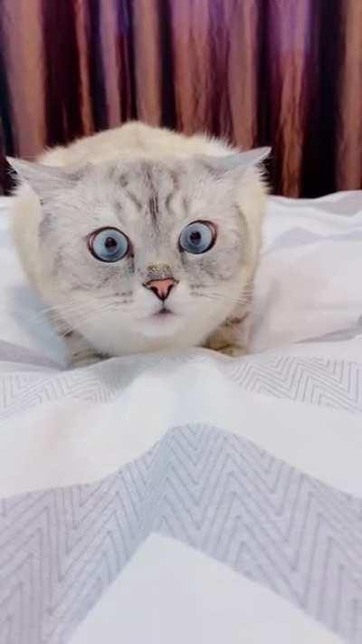 I want one for myself