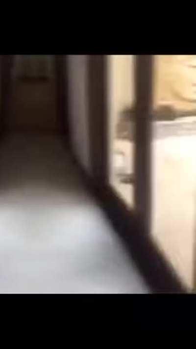 There are two types of people when doge dips.