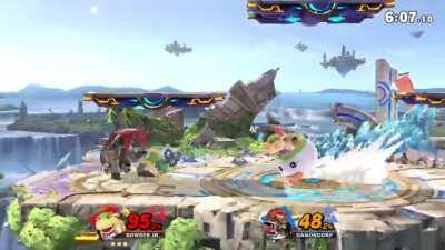 You ever see a possum play dead?