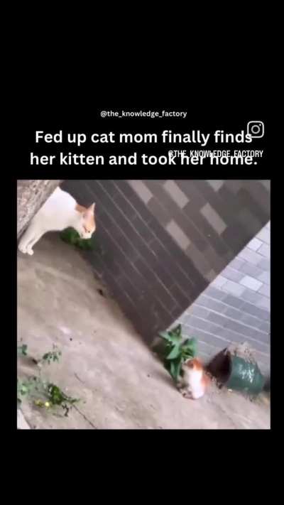 Moms are the same everywhere 