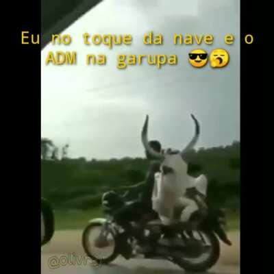 Madeiras e sua moto. Ao lado dele, um humano.