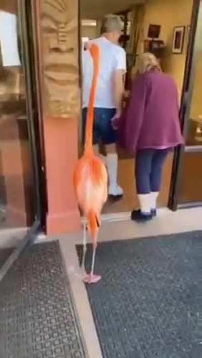 Blend…just blend, nothing to see here.