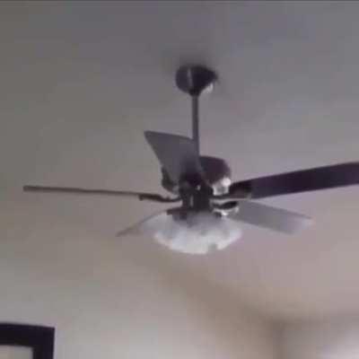 Blursed_Fan