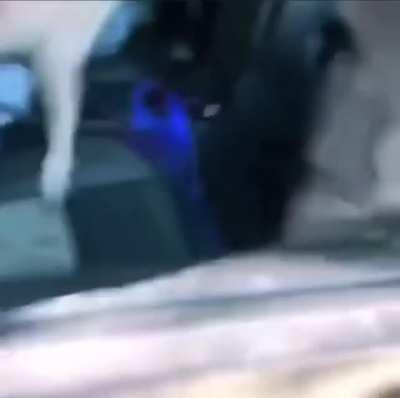 One person’s nightmare is another person’s dream