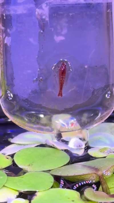 !!!! You do you I guess