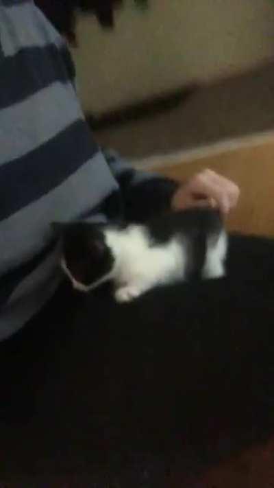 The night we found her alone in the rain, on the run most likely...