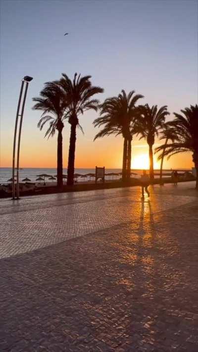 Watching the sunset together