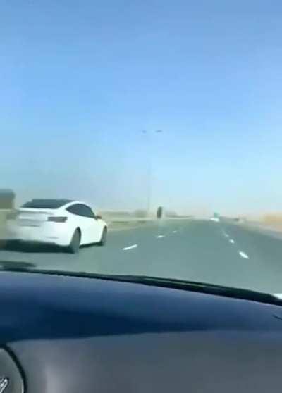 Tesla hitting a camel in the middle of the street, in Dubai.