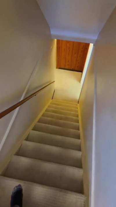 Wild Wonderful Westgate Home Tour with Offbeatagent
