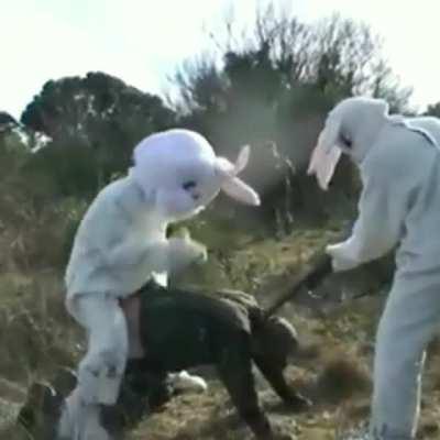 An interesting title