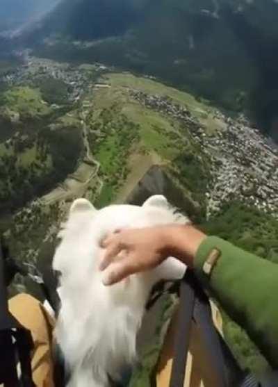 SiCk FuCk UsEs PoOr DoGgO aS a SaDdLe FoR sAtAnIc FlYinG mAcHiNe