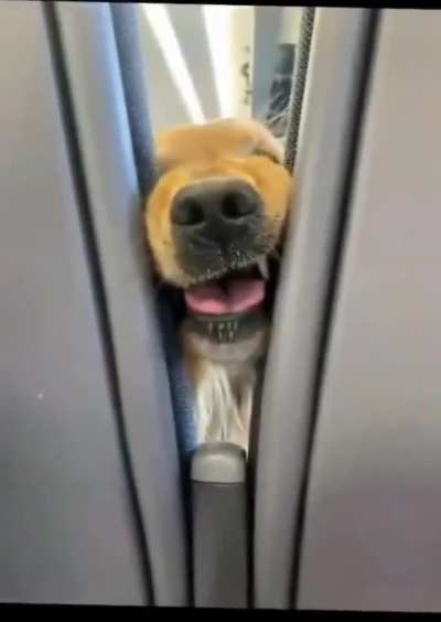 The best flight ever.