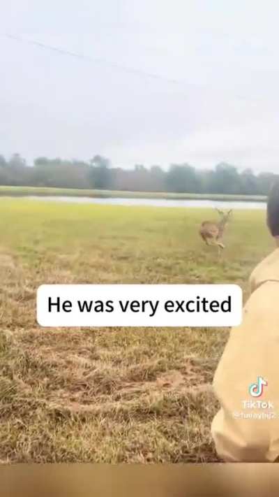 Watch deer jump over lake