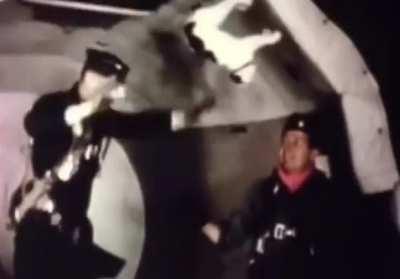 Cat reflexes in zero gravity