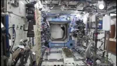 Astronaut smuggles a full gorilla suit onto ISS space station without telling anybody