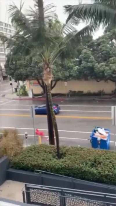 Just letting go of some balloons