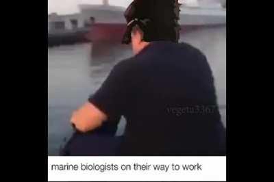 Jotaro's Daily Commute