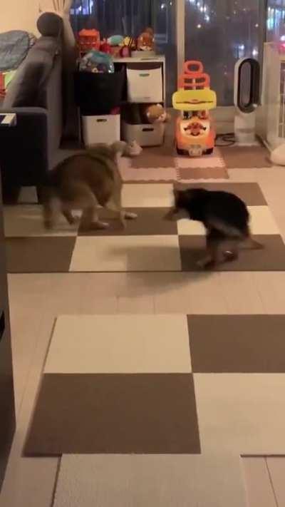 What are they doing?