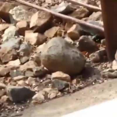 Because fuck your snack lady