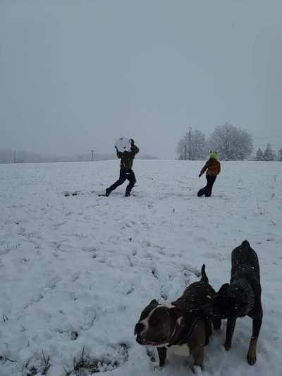 My son thought he could beat me in a snow ball fight.......no kid was harmed in the making of this video.