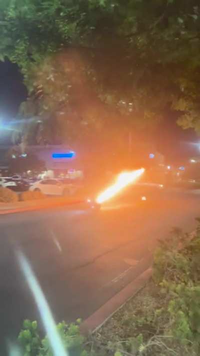 Out of control segway flamester strikes again. 