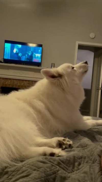 Probably overdone...but when the instincts kick in you can't help but enjoy.