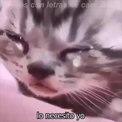 Me after seing Joel's death for the 4th time