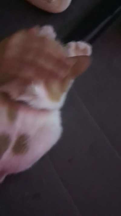 Toest being a little baby.