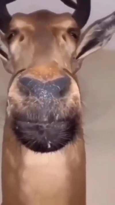 Kives-posting to celebrate new Kives pic