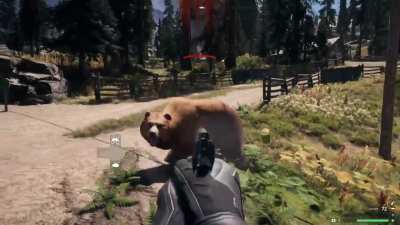 Brother I was afk and this is what I come back to