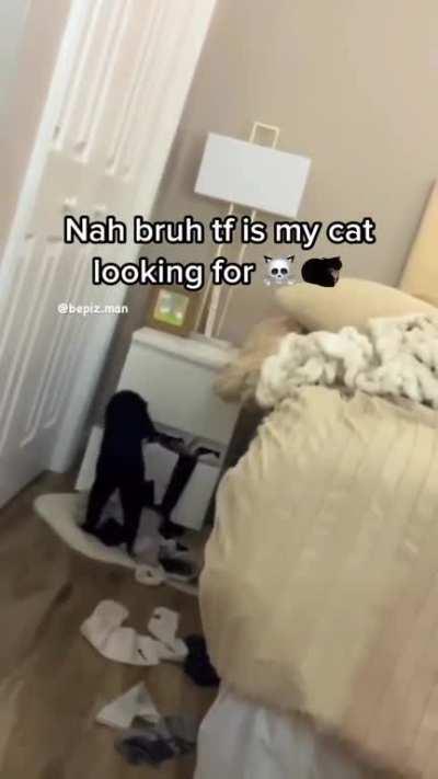 JESSE WHERES THE METH