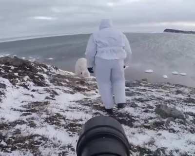 This photographer is playing a potentially deadly fight or flight game with polar bear