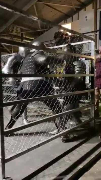 Crusaders in training