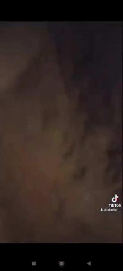 Literally AbruptChaos