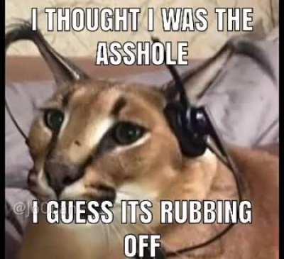 Just a little floppa edit I made😸