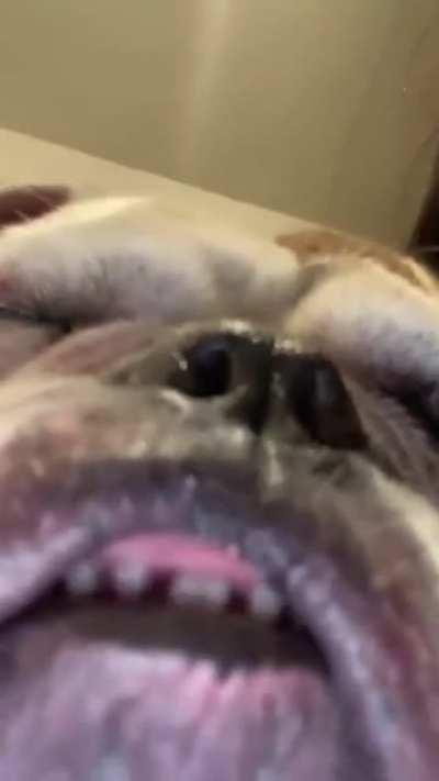 Chicken strips uhh 😩😩😫