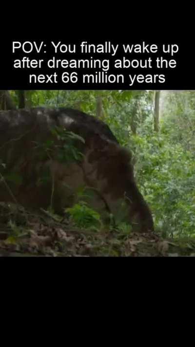 Anyone else wants this?