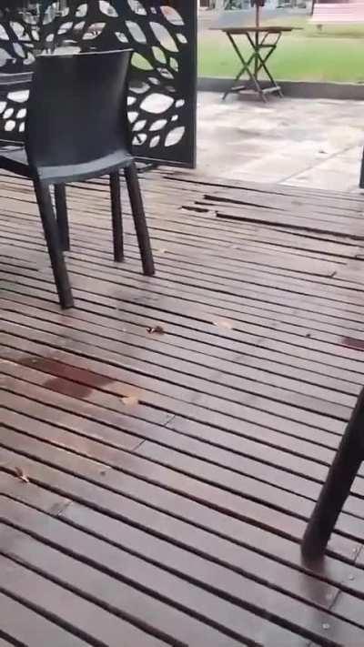 I'm from Buenos Aires, and I say kill em' all