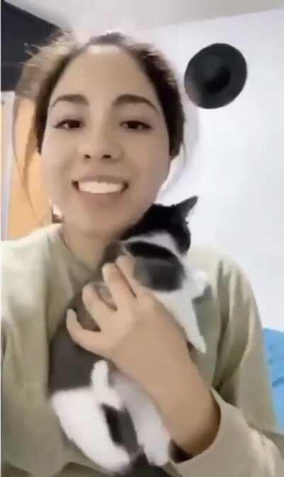 cat ain’t a fan of this face filter