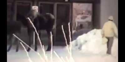 D or V if a moose does the salsa on your ribcage?