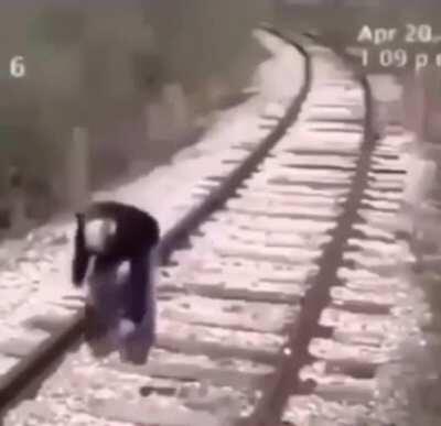 Guy gets brutaly hit by a train