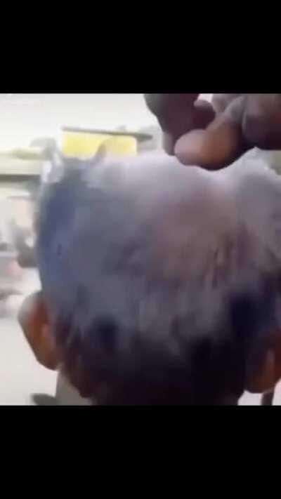 Mira que loco hermano