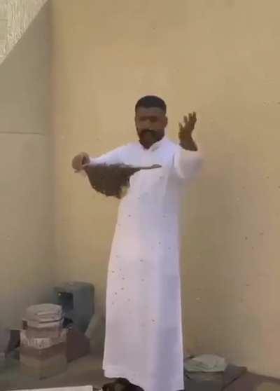 HMFT after i mess around with bees